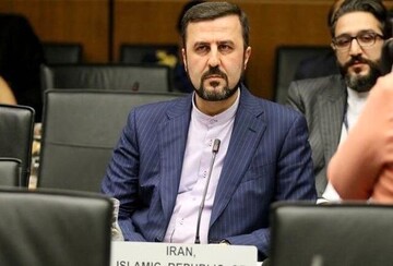 سفیر ایران در عمان :شایعه خودکار طلاکاری شده و غریب آبادی دروغ است