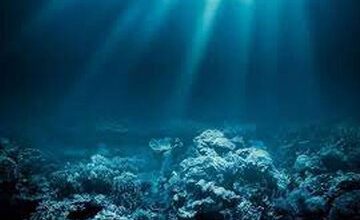 موجودی که خفته بود بعد از قرنها دوباره زنده شد