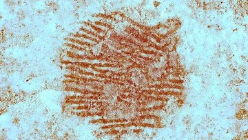 قدیمیترین اثرانگشت انسان پیدا شد / یادگاری از ۴۳ هزار سال پیش