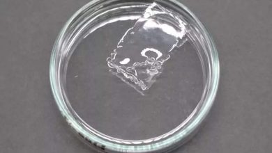 تحولی در صنعت پلاستیک: پلاستیکی که در آب دریا ناپدید میشود