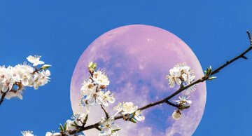 «ماه توتفرنگی» چیست؟ / حقایقی درباره ماه کامل ۲۰ و ۲۱ خرداد