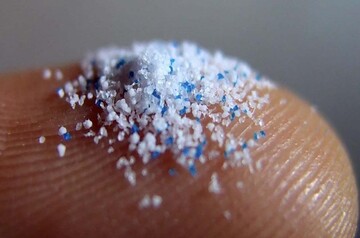 پلاستیک چطور وارد غذا و بدن ما میشود؟