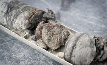 دایناسوری که زیر موزه دایناسورها پنهانشده بود