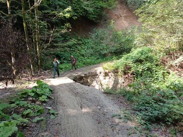 ترمیم نقاط رانشی جاده های جنگلی دودانگه ساری+ فیلم