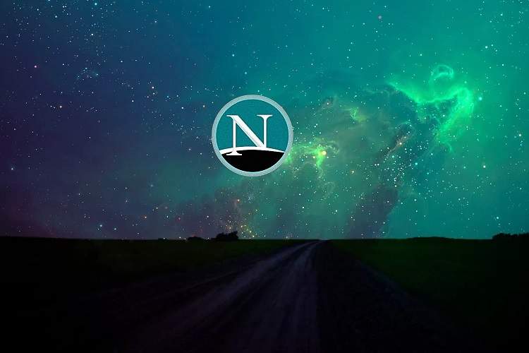 نتاسکیپ و آغاز تاریخچه باگ بانتی در سال ۱۹۹۵