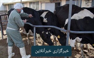 پایان موفقیتآمیز تست سل رایگان در گاوداریهای هفتکل