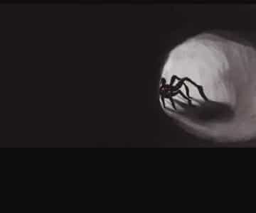 کابوس در غار | سروکله عنکبوت غولپیکر در معدن متروکه پیدا شد