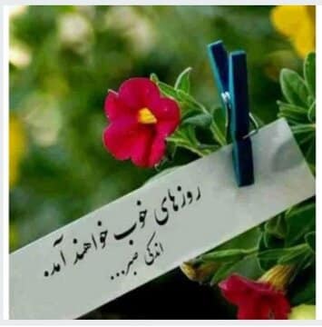 کاهش ۳۵ درصدی آمار خودکشی در شش‌ماه نخست سال در همدان