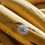 ادغام Nano Banana با NotebookLM و جست‌وجوی گوگل؛ مرزهای جدید خلاقیت با هوش مصنوعی