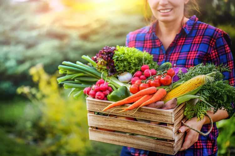 اصلاح رژیم غذایی علاوه بر کاهش آلایندهها جان میلیونها انسان را نجات میدهد