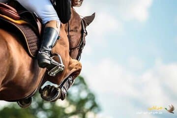 اعلام زمان انتخابات فدراسیون سوارکاری