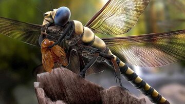 بدن حشره ۱۱۲ میلیون ساله سالم پیدا شد / کشفی شگفتانگیز