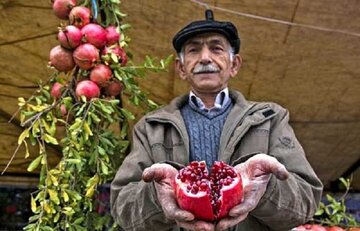 برگزاری جشنواره بزرگ انار اشرف