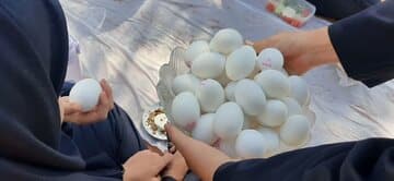 برگزاری روز جهانی تخم مرغ در شهرستان شاهرود