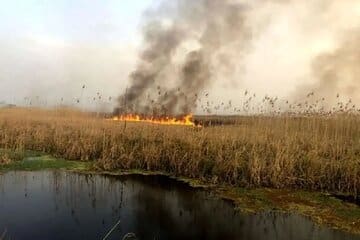 تداوم آتشسوزی هورالعظیم پس از هفت ماه