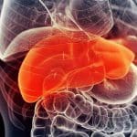 ترکیب دو داروی شناخته‌شده، رویکردی نو برای مقابله با بیماری کبد چرب