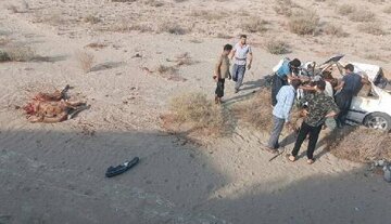 تصادف با شتر جان جوان ۲۲ ساله را گرفت