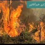 تلاش بی‌وقفه برای مهار آتش‌سوزی در کوه‌های دلا