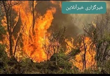 تلاش بی‌وقفه برای مهار آتش‌سوزی در کوه‌های دلا