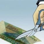 حذف صفرهای پول ملی به خودی خود مشکلی را حل نمی کند/ باید از مدل ترکیه و برزیل تجربه کسب کرد