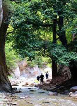 روستای کولیم شهمیرزاد میزبان ۳۰ هنرمند تجسمی
