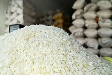 شرط مهم برای کاهش قیمت برنج در بازار / خانوارهای کمدرآمد زیر فشار قیمتها