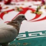 شهادت یکی از ماموران انتظامی در درگیری با  اراذل و اوباش مسلح در این شهر شمالی