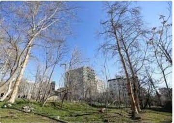 عضو شورای شهر همدان از نابودی ۲۰۰ هزار مترمربع از باغات منطقه یک خبر داد
