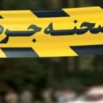 قتل کارمند دانشگاه تهران به دست همسرش