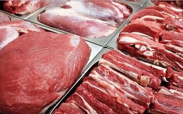 قیمت گوشت‌های وارداتی رسما اعلام شد/ گوشت مغولی، برزیلی و هندی چند؟