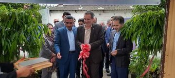 مرکز نوآوری کشت بافت خوشه گل و گیاه آمل و محمودآباد افتتاح شد