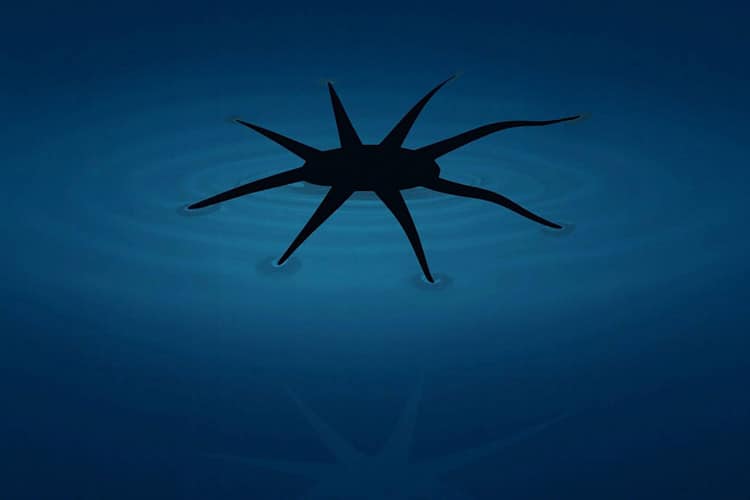 مهندسان رباتهای نرم جدیدی خلق کردند که بهراحتی روی آب حرکت میکنند