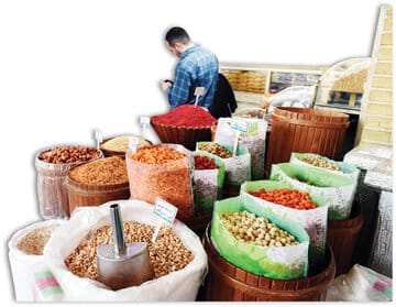 نسخه‌های عجیب عطارباشی/ پودر مارمولک و روغن خرس و غده اسب آبی داروهایی است که تجویز می شود