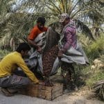 نظارت‌ بر بازار محصولات کشاورزی هرمزگان افزایش می‌یابد