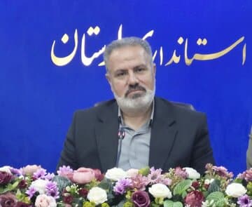 پرداخت ۲۵۶ فقره تسهیلات بانکی به نانوایی های لرستان