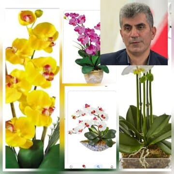 پیش بینی تولید ۱۶ میلیون شاخه گل ارکیده در کشور