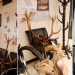 کشف تاکسیدرمیهای غیرمجاز در اصفهان/ شکارچیان سابقهدار دستگیر شدند