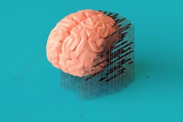 یک کشف شگفتانگیز / «مغز زنان» هر ماه دوباره متولد میشود؟