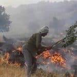 ۲۶۰۰ هکتار از اراضی جنگلی کرمانشاه دچار آتش‌سوزی شده است