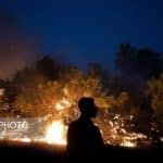 آتش سوزی گسترده در جنگل‌های جاده چالوس/ درخواست محیط‌زیست برای اعزام فوری بالگرد