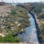 آلودگی میکروبی شدید در رودخانه‌های شهرستان بهارستان