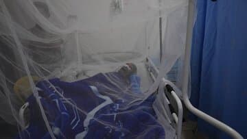 آژیر اپیدمی تبدنگی