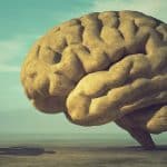 آیا مغز انسان «قدرت پیش‌بینی» دارد؟