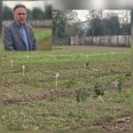 اجرای رویداد ترویجی کشت پاییزه در اراضی کشاورزی آستانه اشرفیه