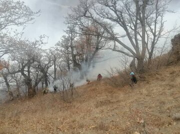 ادامه عملیات مهار آتشسوزی گسترده در جنگلهای الیت چالوس