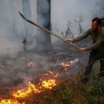 اعلام آخرین وضعیت جنگل‌های الیت پس از هشت روز آتش‌سوزی