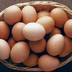 اعلام قیمت هر شانه تخم‌مرغ / کاشانی: بالاتر از این قیمت گران‌فروشی است