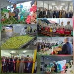 افتتاح واحد تولیدی کیوی به پاستیل در رودسر