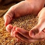 افزایش ۳۰۰درصدی پرداخت زکات واجب در تاکستان