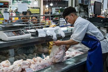 بازار مرغ زیر فشار کمبود نهاده/ افزایش قیمت مرغ در راه است